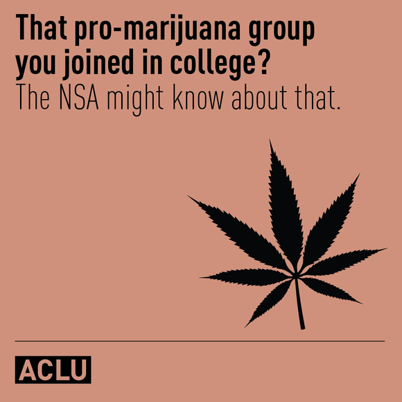 That pro-marijuana group you joined in college? The NSA might know about that.