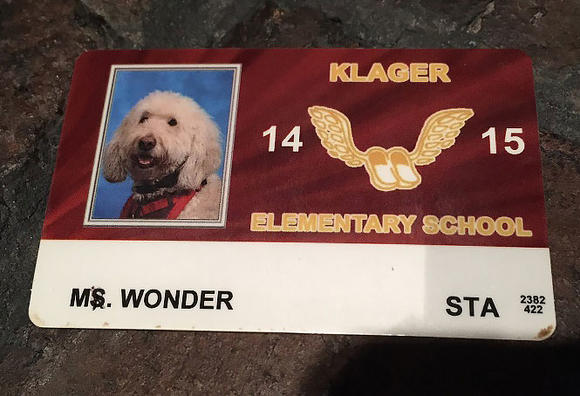 Wonder's school ID
